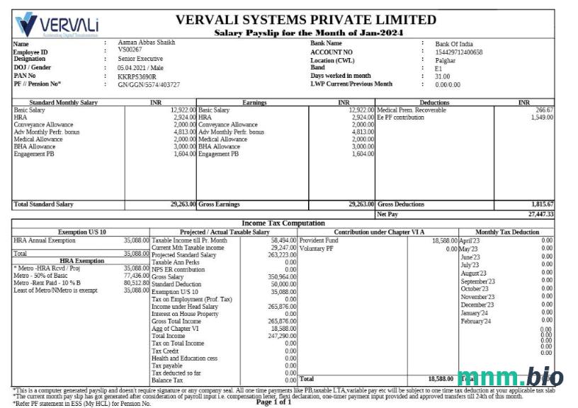 Szablon payslip firmy Vervali Systems w formatach Word i PDF